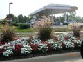 Random Pics